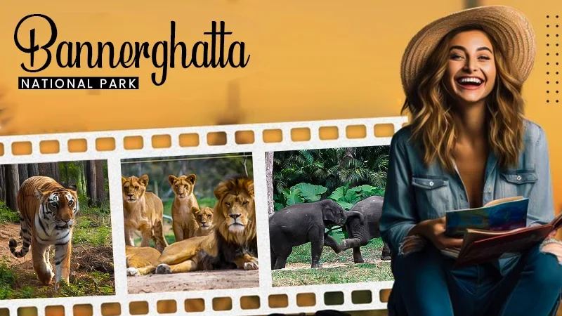 bannerghatta national park